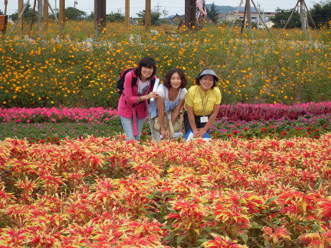 9994ec505a1632eaec2961c2398d159c_1608511476_7488.jpg